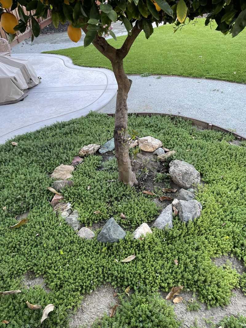 Stone Circle