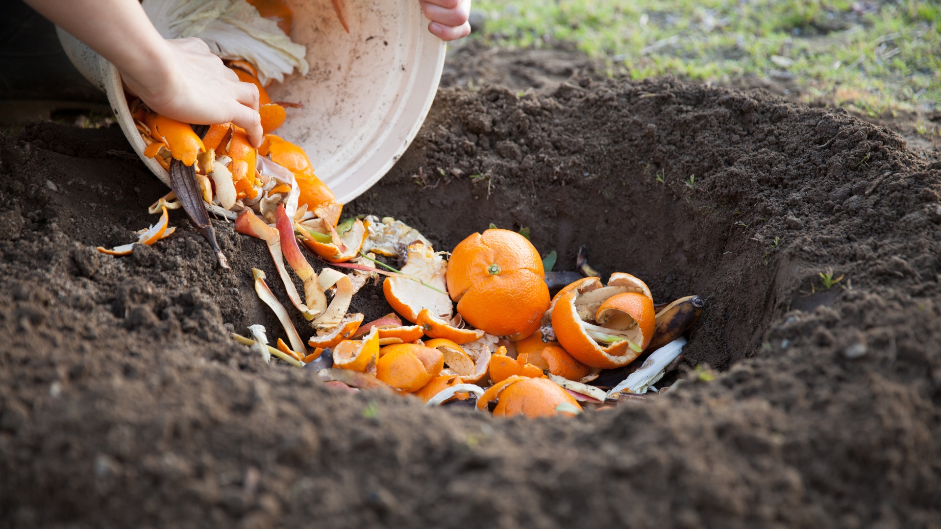 Stop Tossing Orange Peels —Here Are 20 Genius Ways to Use Them