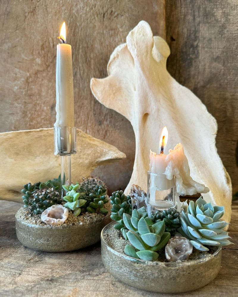 Succulent Candle Holder