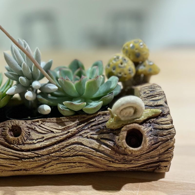 Succulent Driftwood Sculpture