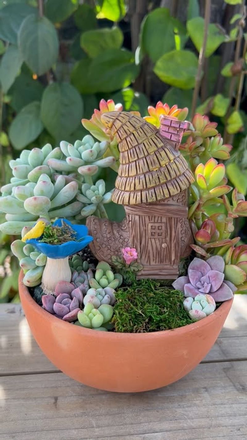 Succulent Fairy Garden