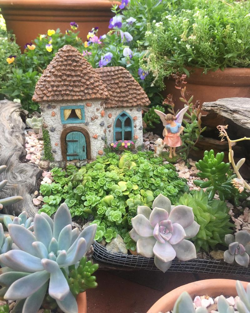 Succulent Fairy House