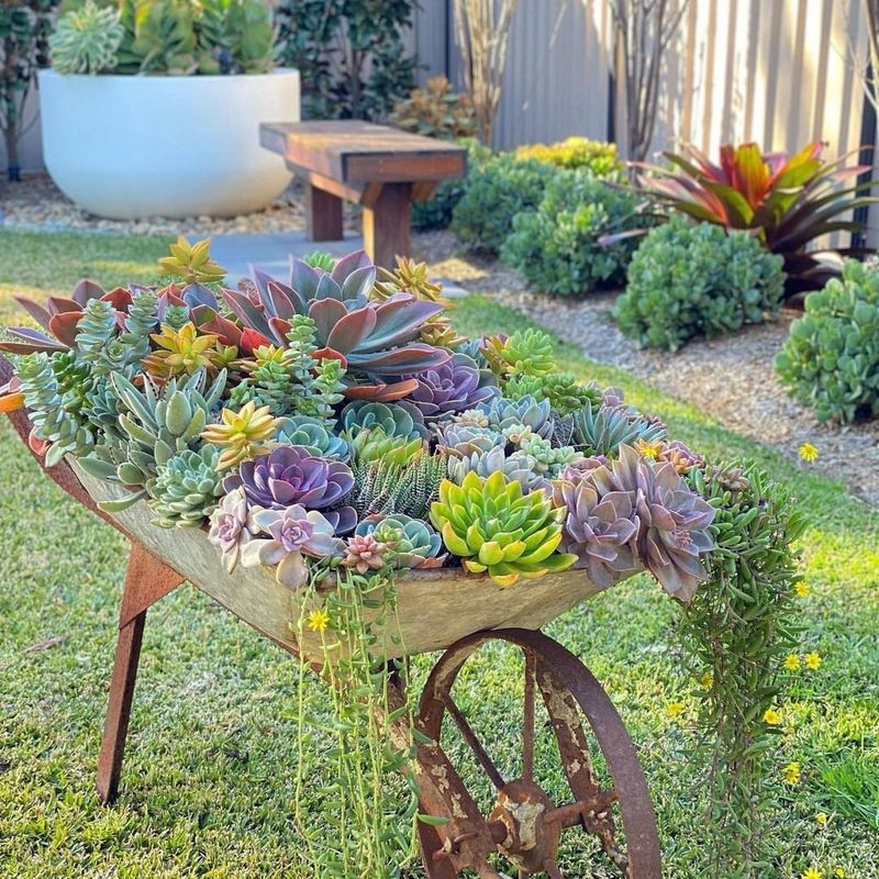 Succulent Rustic Wheelbarrow