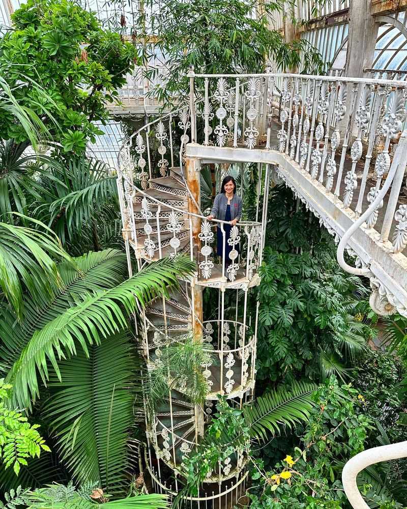 Succulent Spiral Staircase