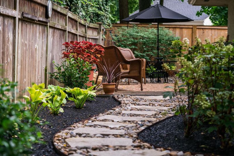 Succulent Stone Pathway