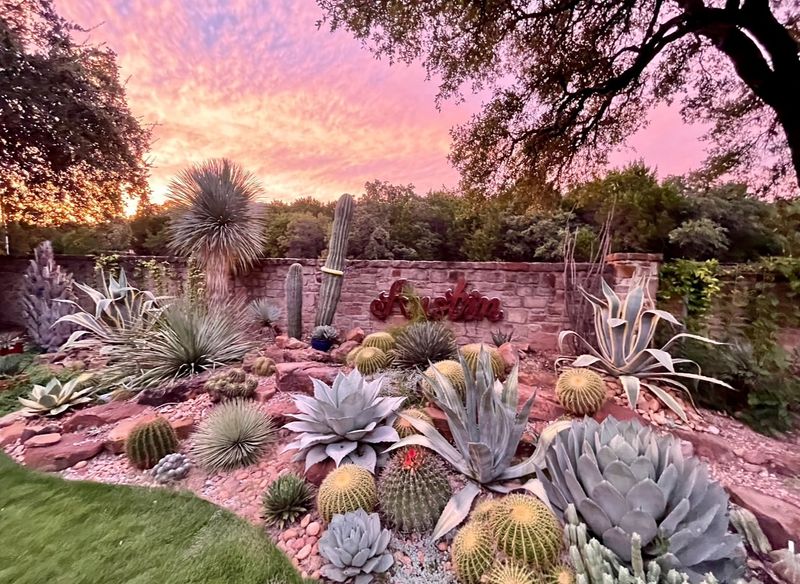 Succulent Zen Garden