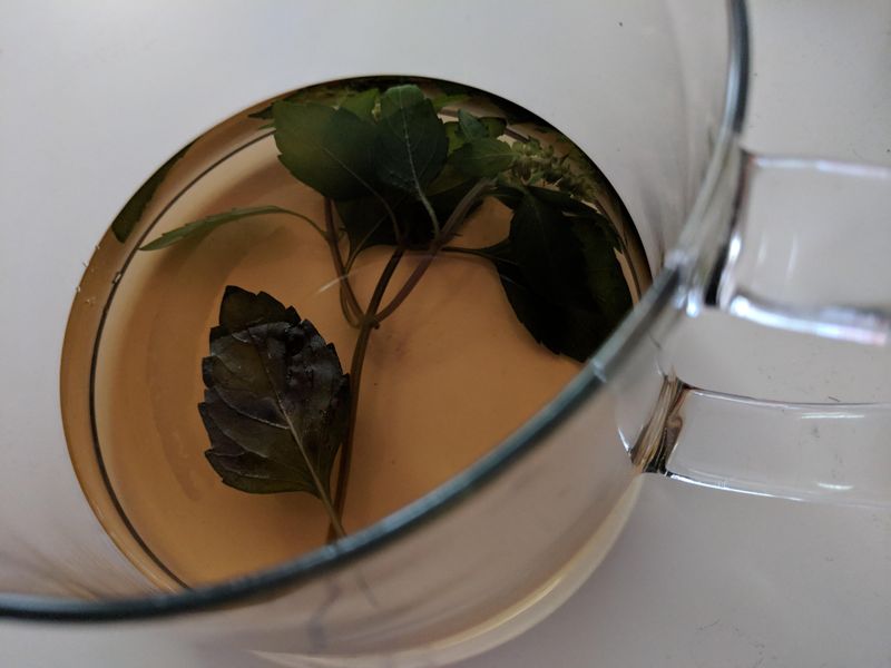 Tea Leaves Nutrient Boost