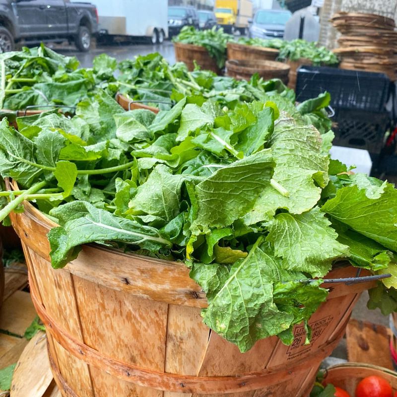 Tennessee: Turnip Greens