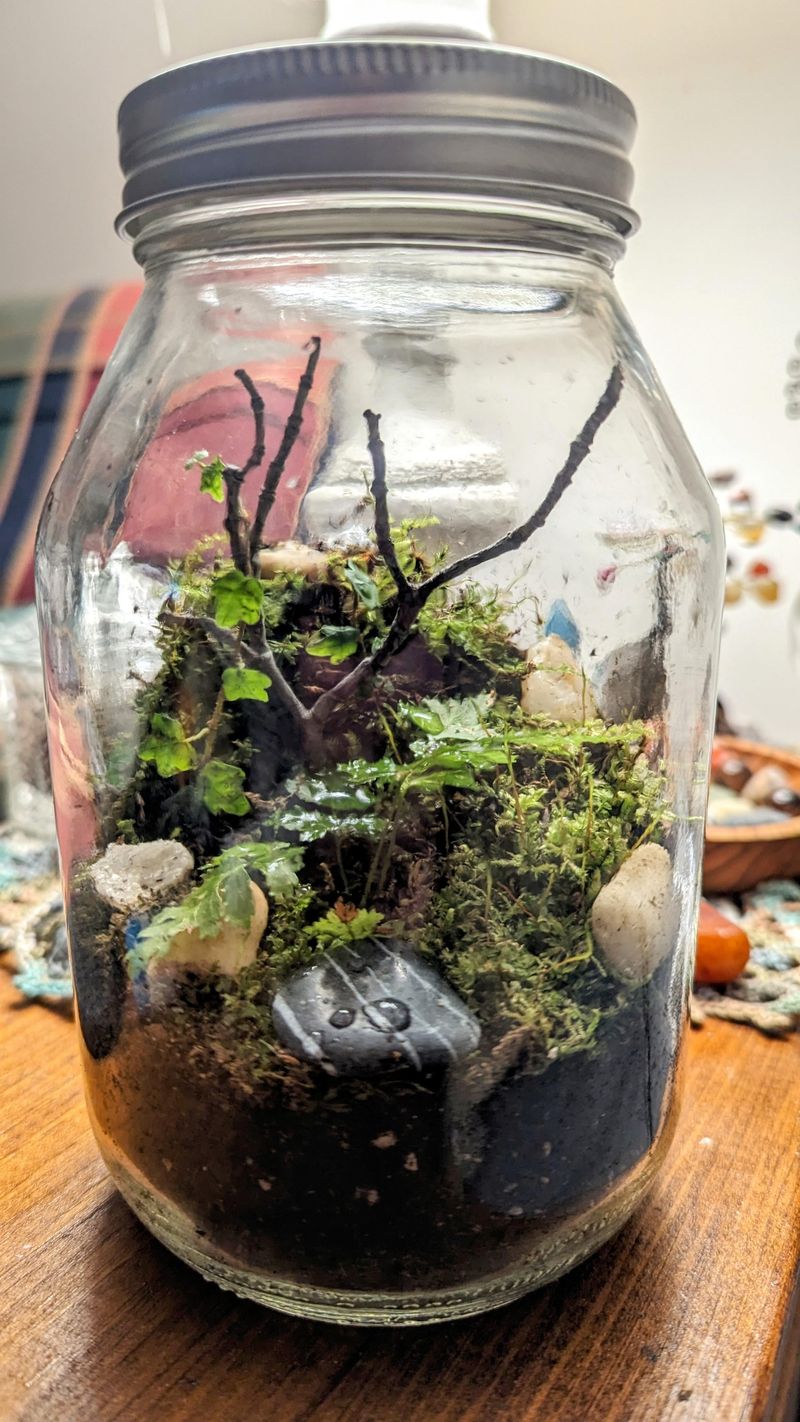 Terrariums