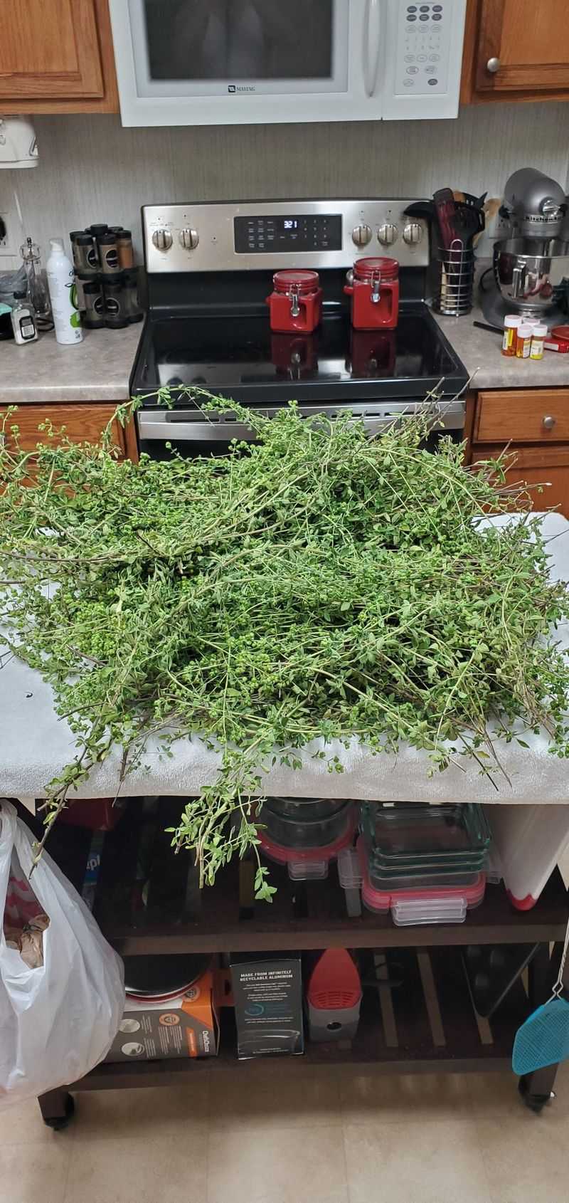 Thyme in the Kitchen