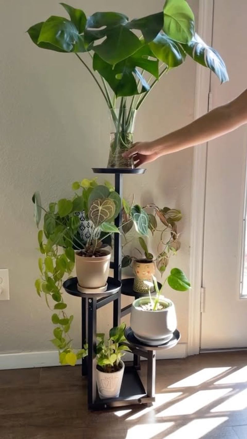 Tiered Plant Stand with Wheels