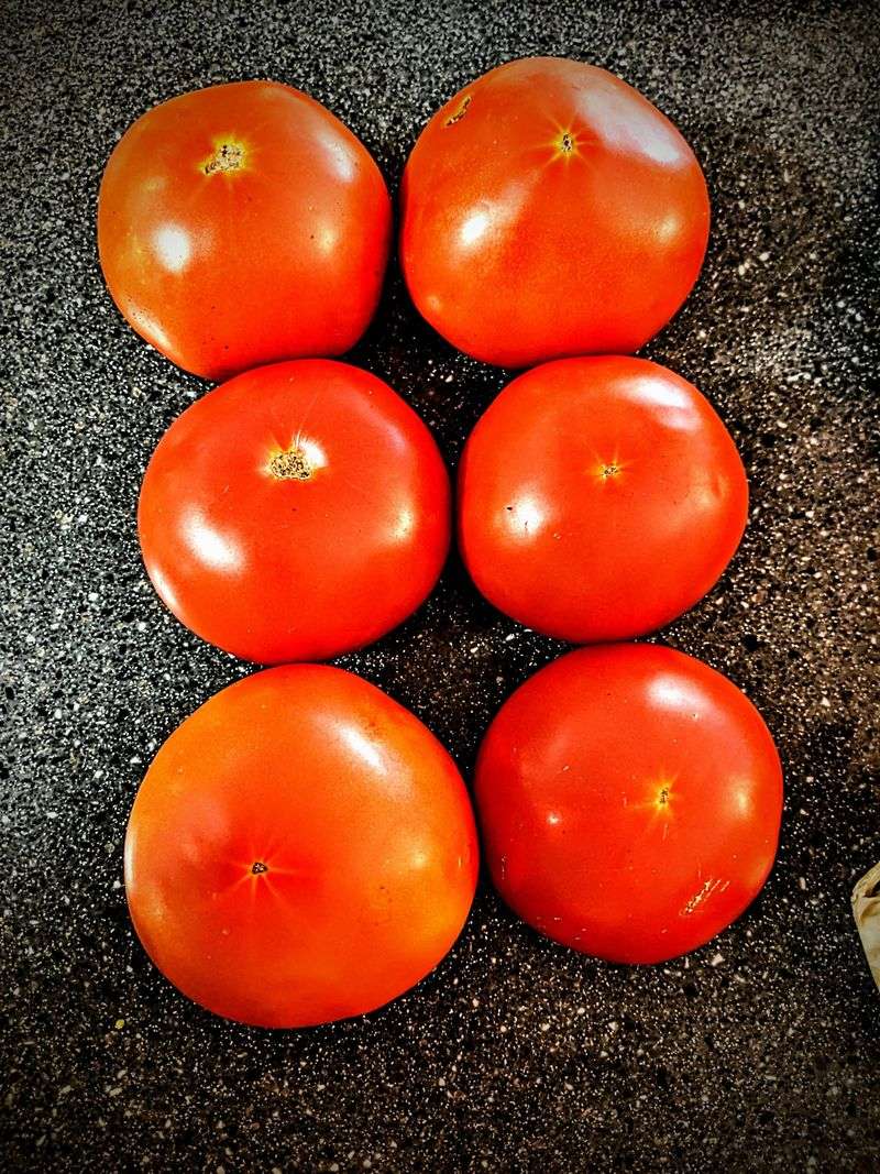 Tomatoes