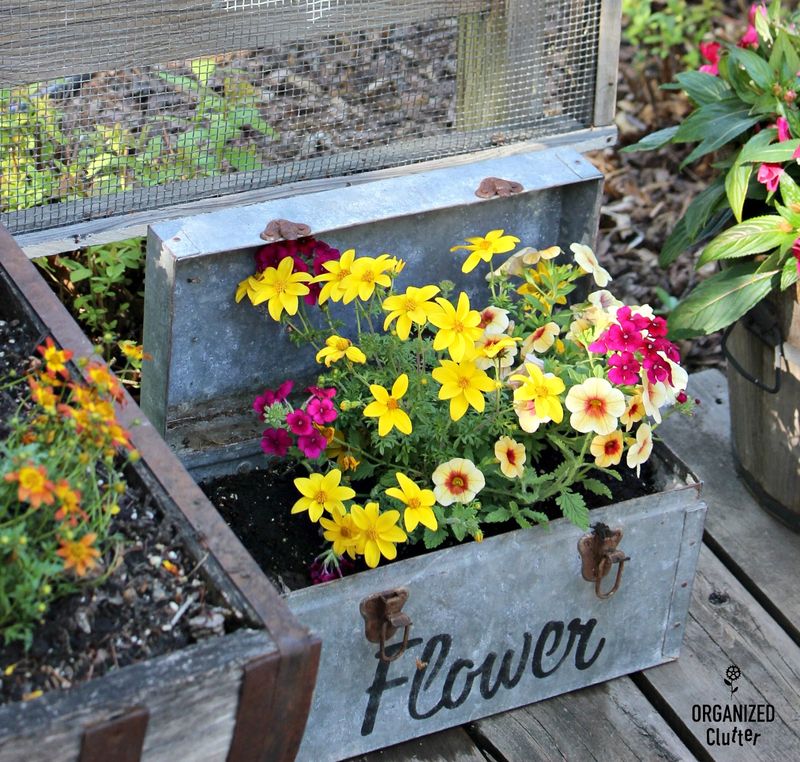 Toolbox Miniature Garden