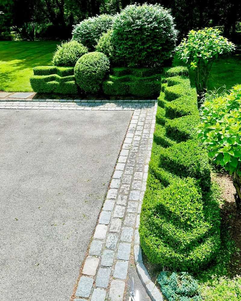 Topiary Art