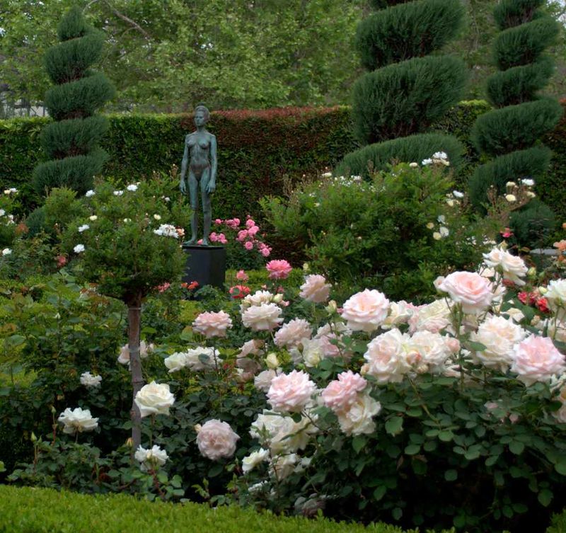 Topiary Rose Sculptures