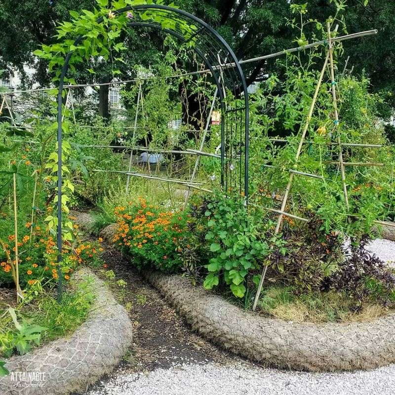 Twine and Branches Trellis