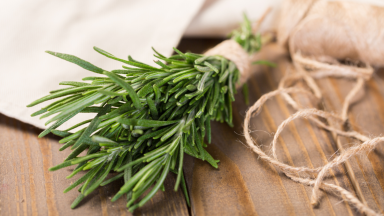 These Are The 25 Best Rosemary Companion Plants
