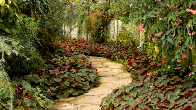 32 Cheap Or Free Materials To Create A Garden Walkway