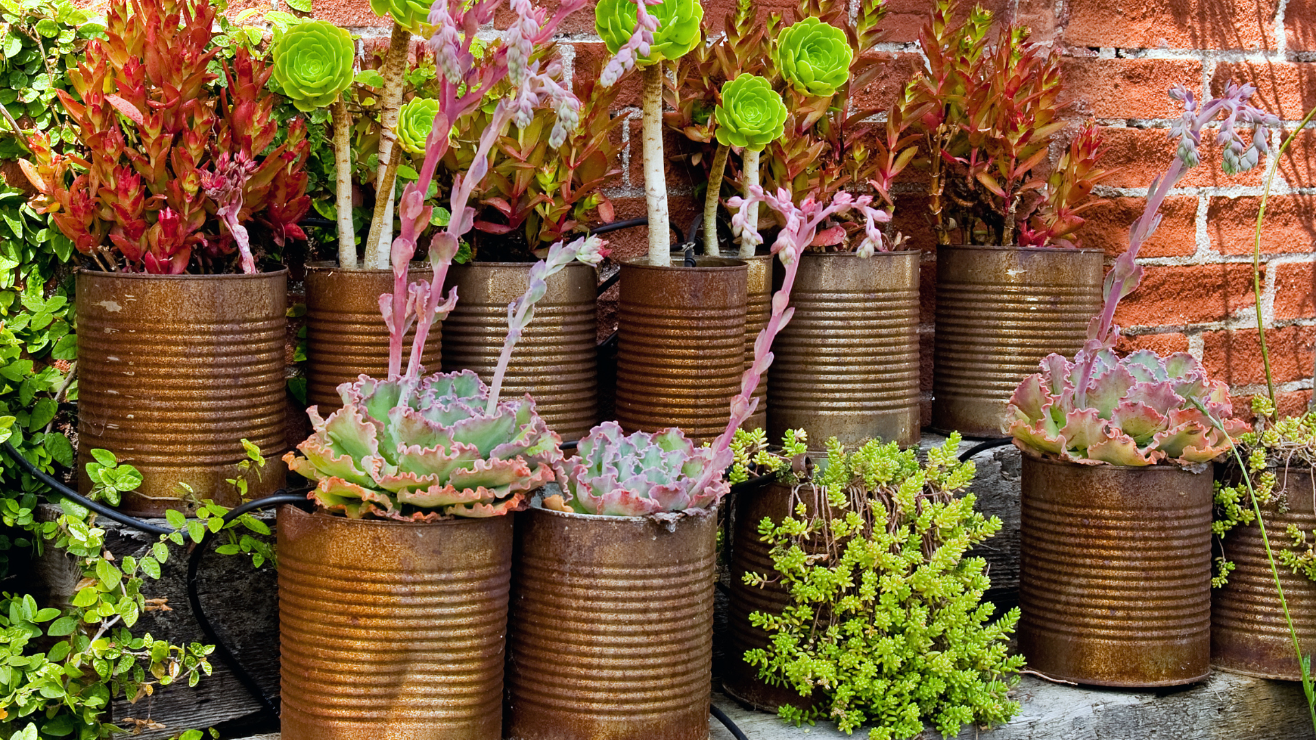 30 Clever Repurposed Garden Containers