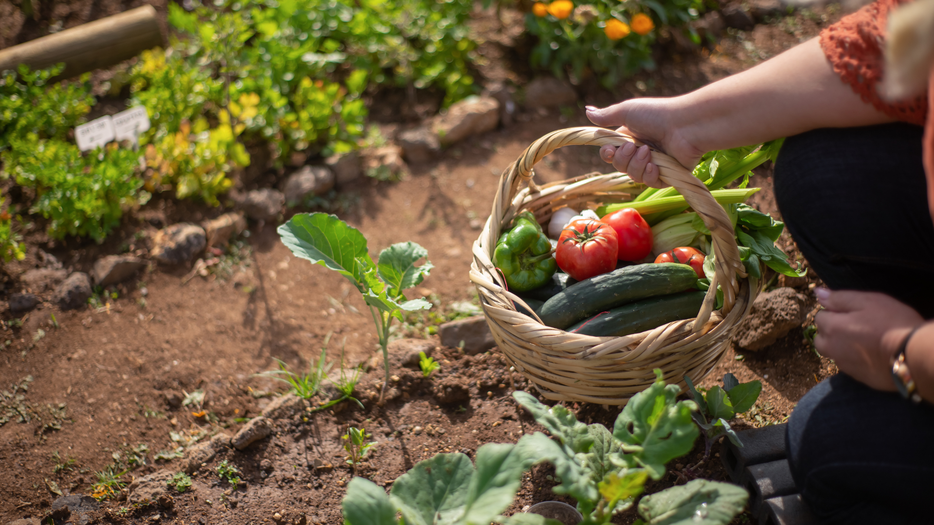 25 Homesteading Hacks To Grow Plenty Of Food In A Small Space