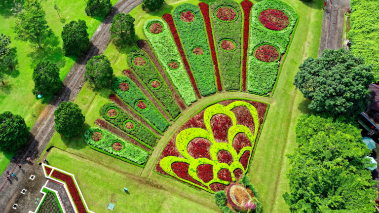 21 Great Alternatives To A Perfectly Manicured Lawn And Garden