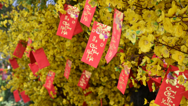 20 Lucky Plants To Bring Prosperity For Chinese New Year