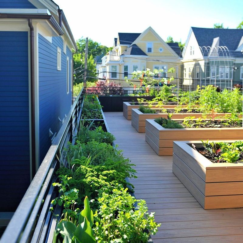 Urban Rooftop Retreat