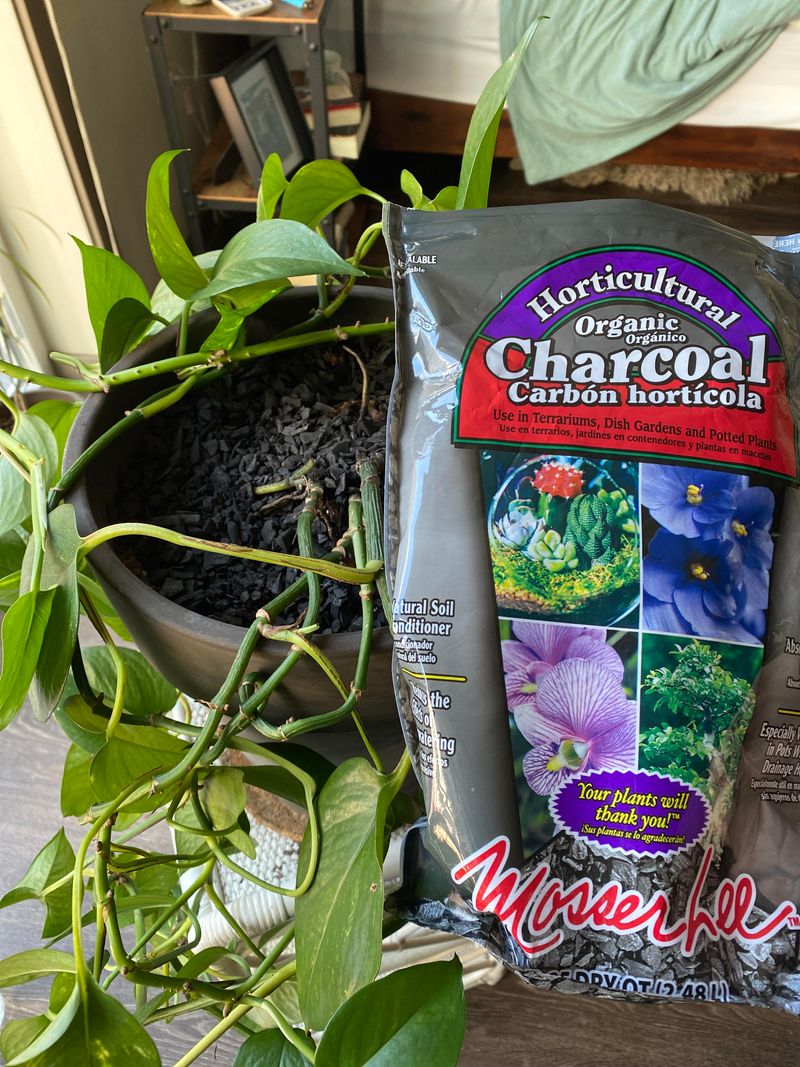 Use Activated Charcoal