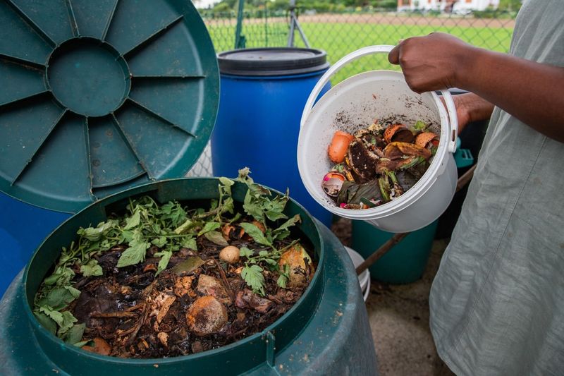 Use a Compost Bin