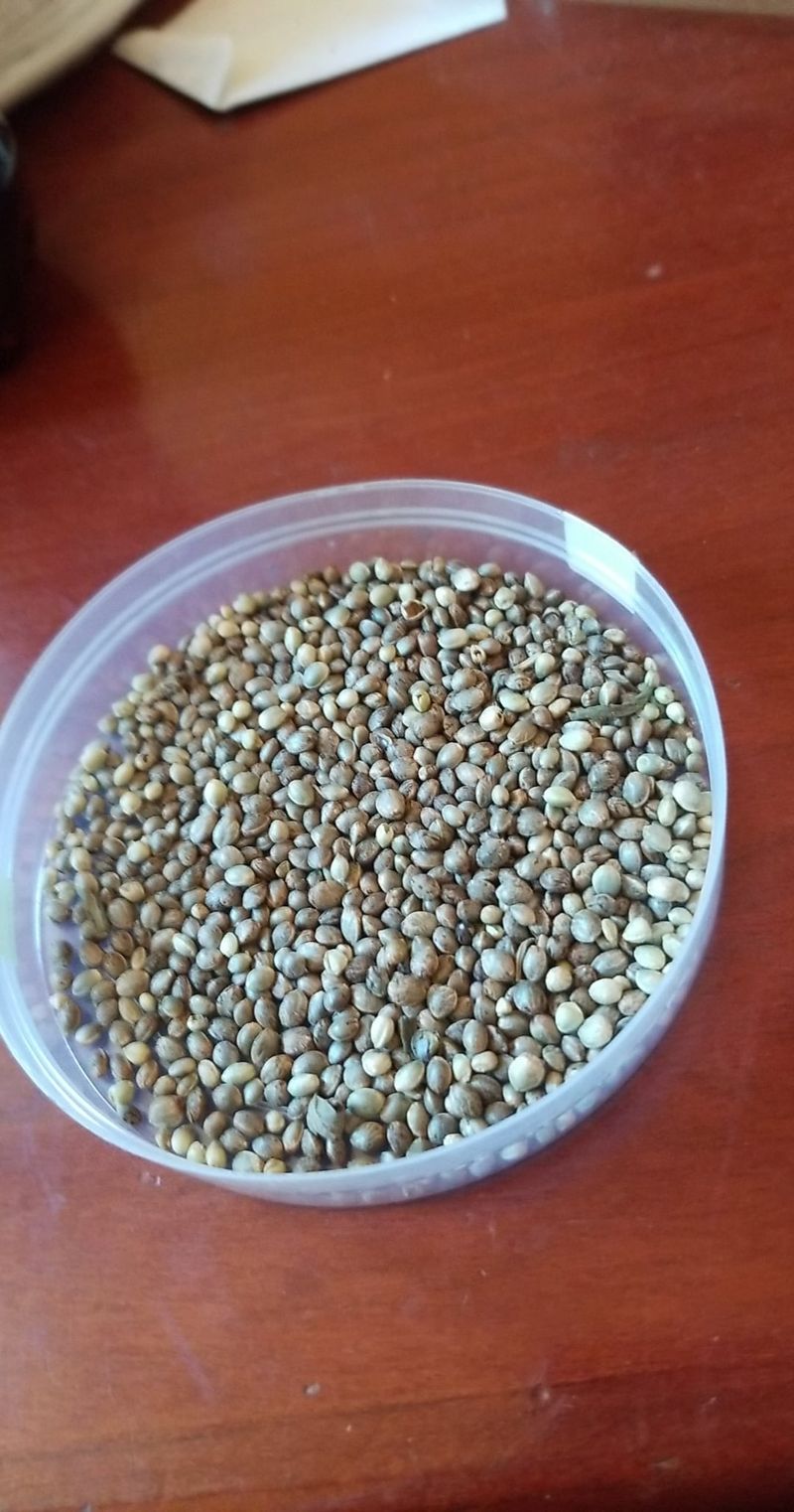 Using Poor Quality Seeds