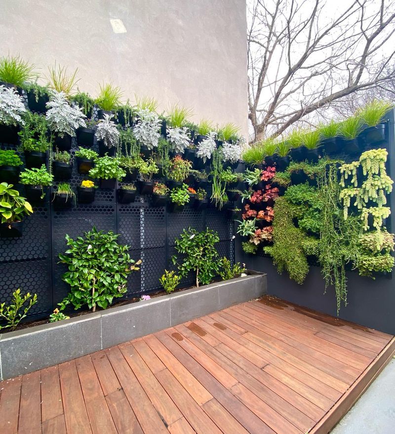 Vertical Garden