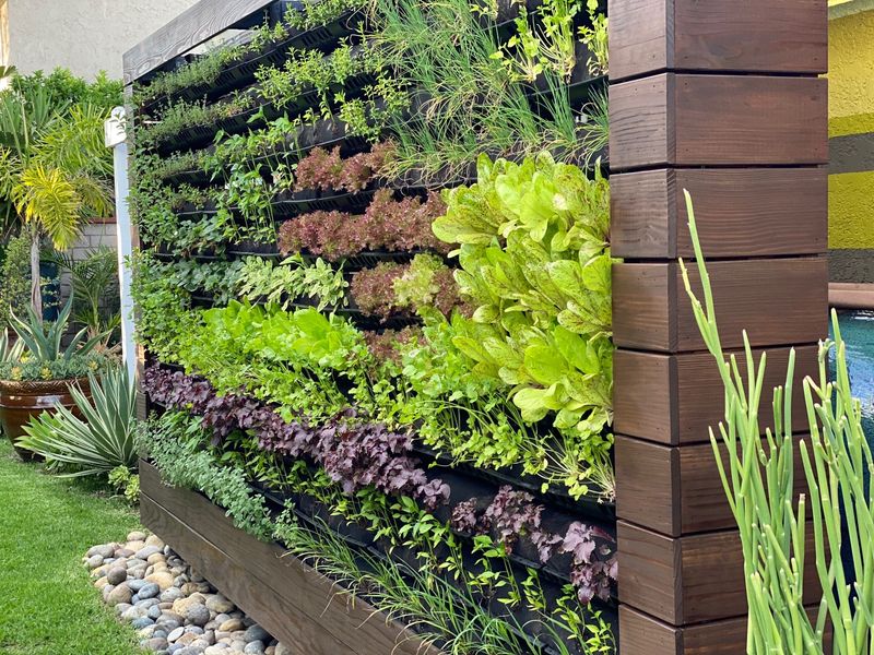 Vertical Garden