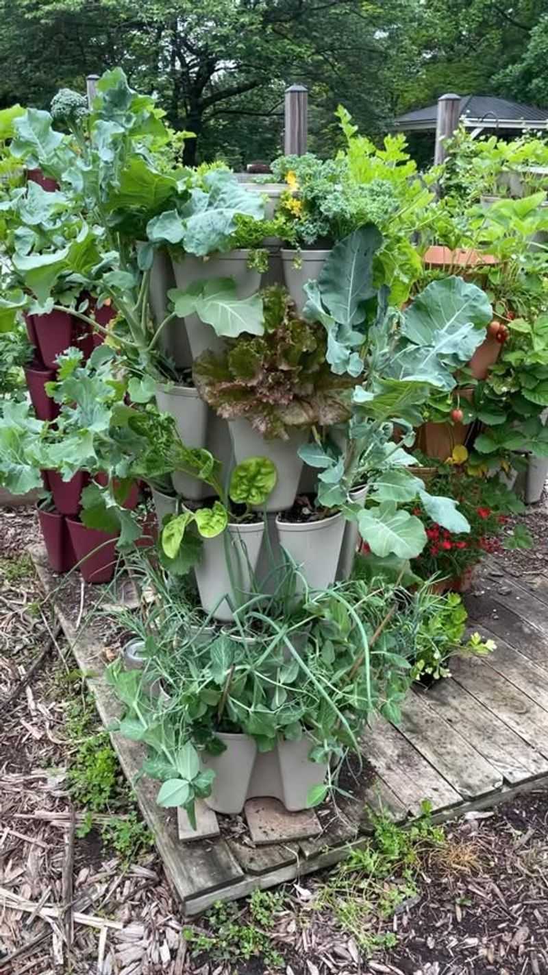 Vertical Gardening