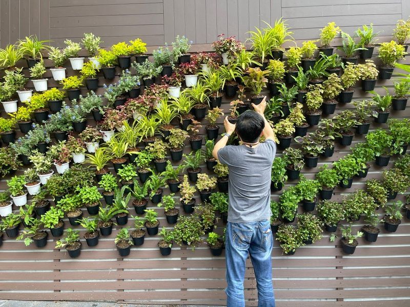 Vertical Gardening