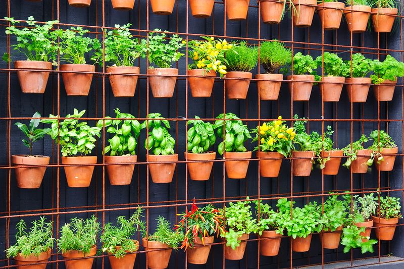 Vertical Gardening