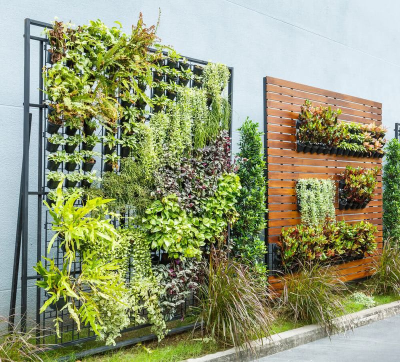 Vertical Gardens