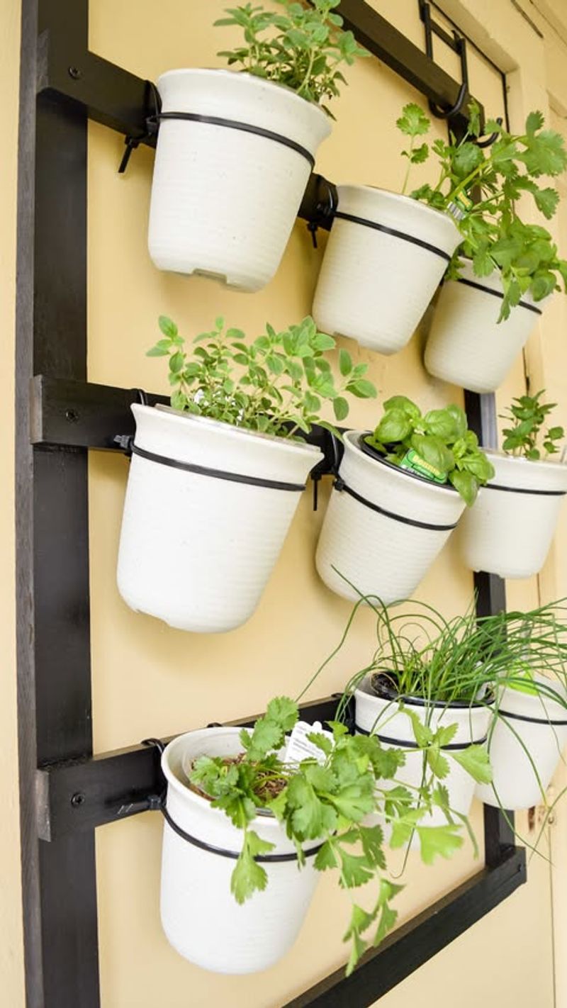 Vertical Herb Garden