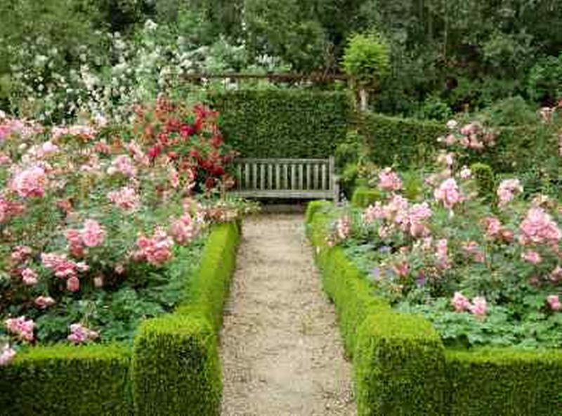 Victorian Rose Parterre