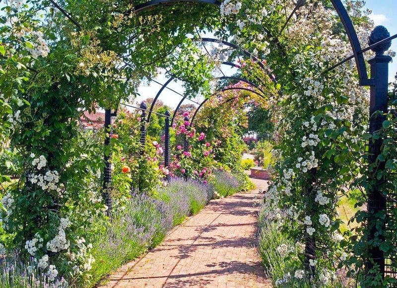 Victorian Style Arch