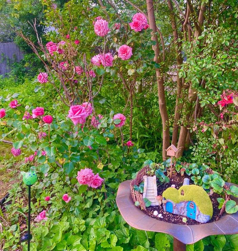 Vintage Bird Bath Roses