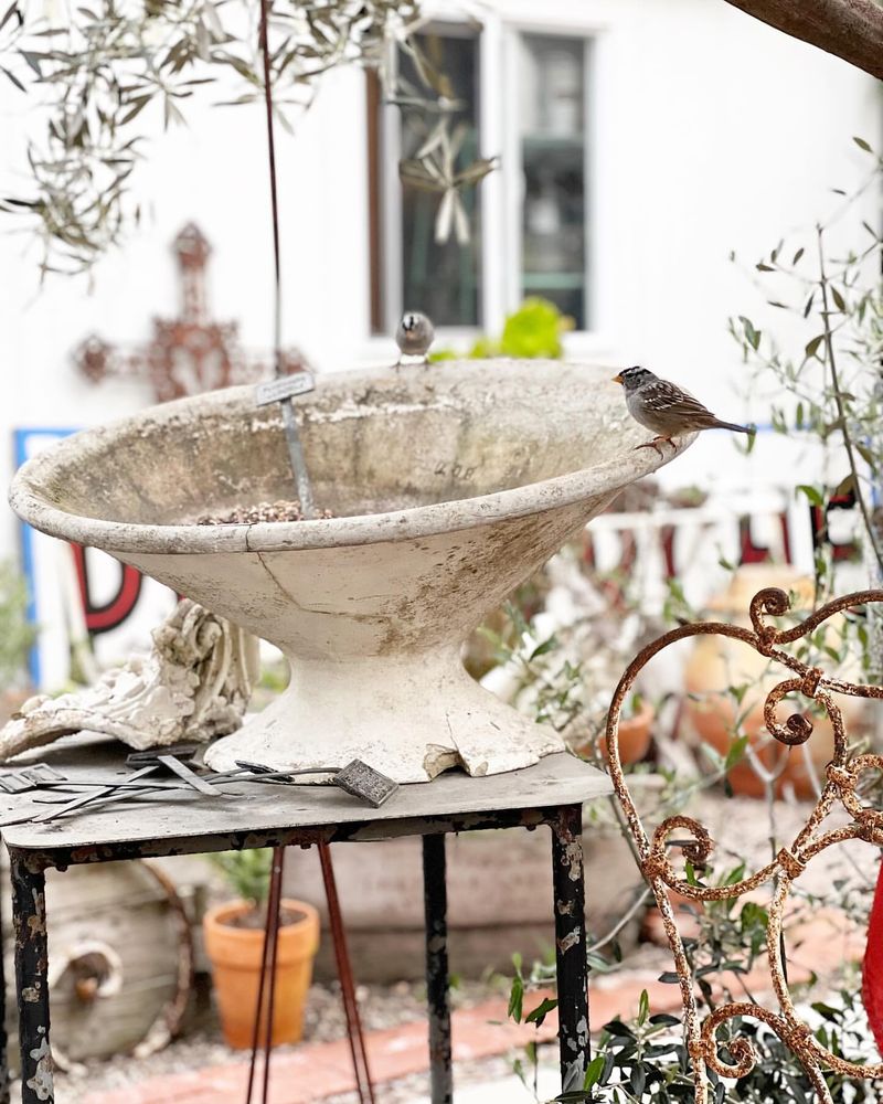 Vintage Bird Baths