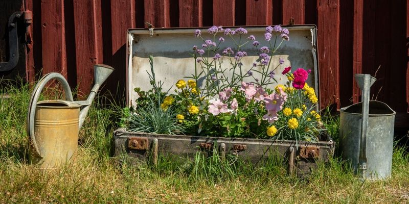 Vintage Suitcase Garden