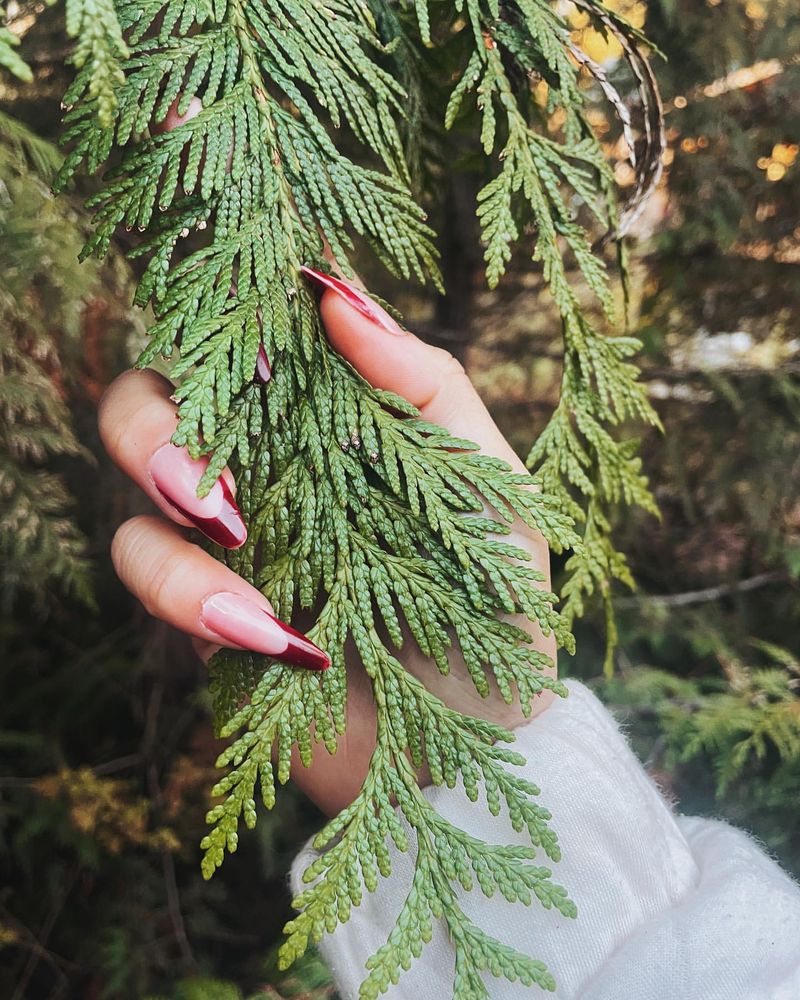 Washington: Western Red Cedar