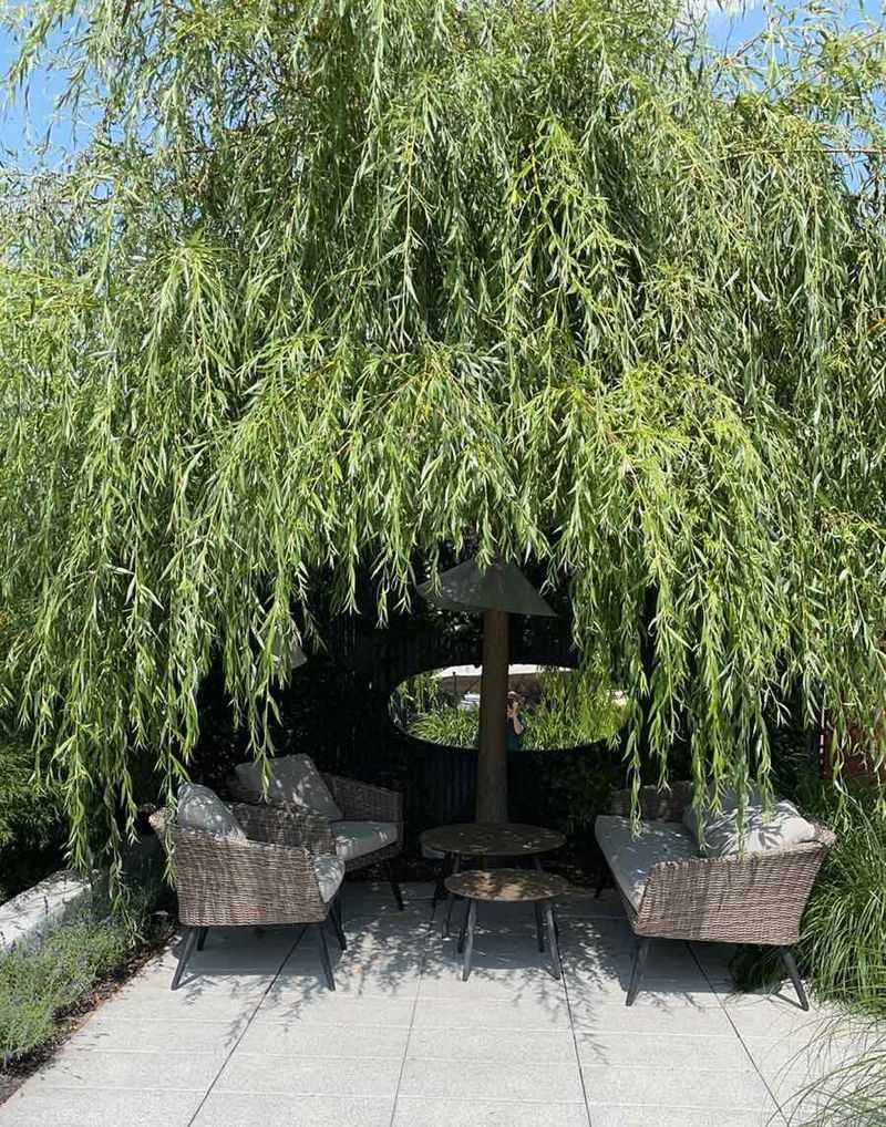 Water Feature with Weeping Willow