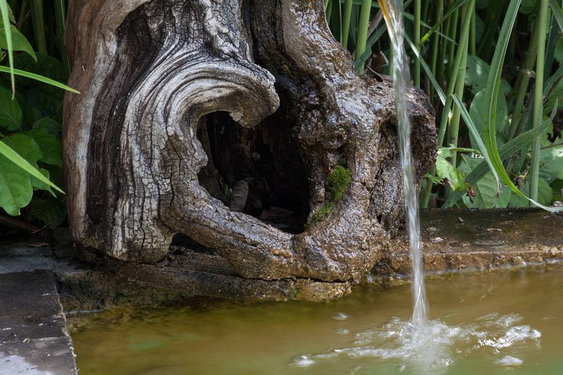 Water Feature