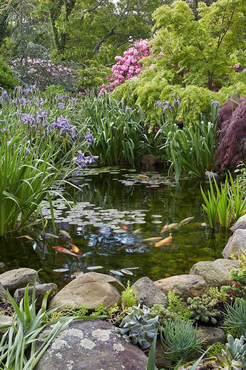 Water Garden