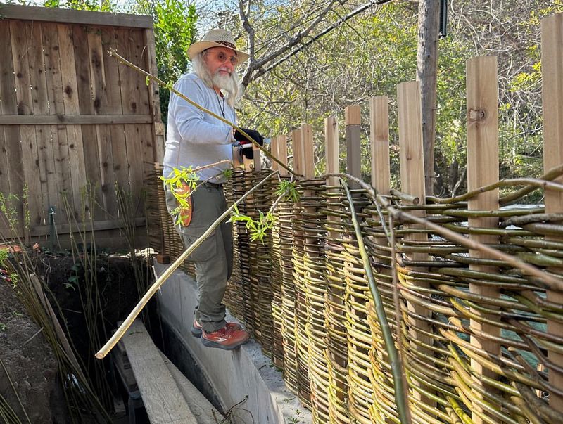 Wattle Fencing