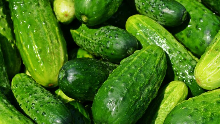 cucumbers