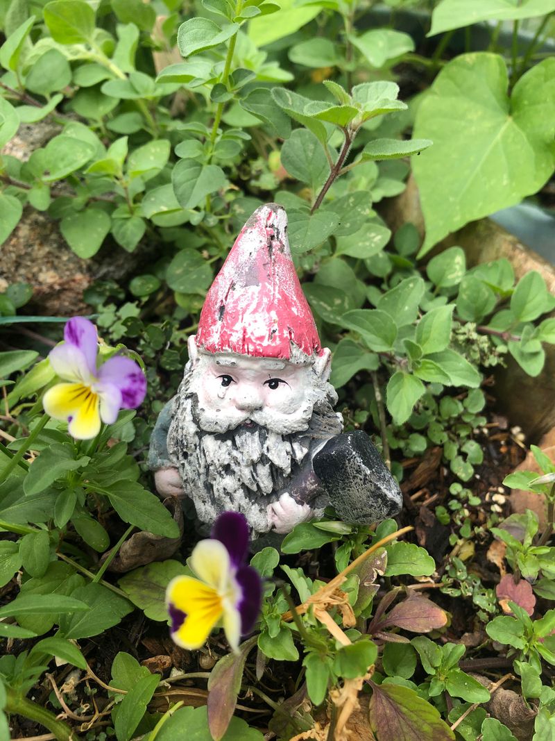 Whimsical Garden Gnomes