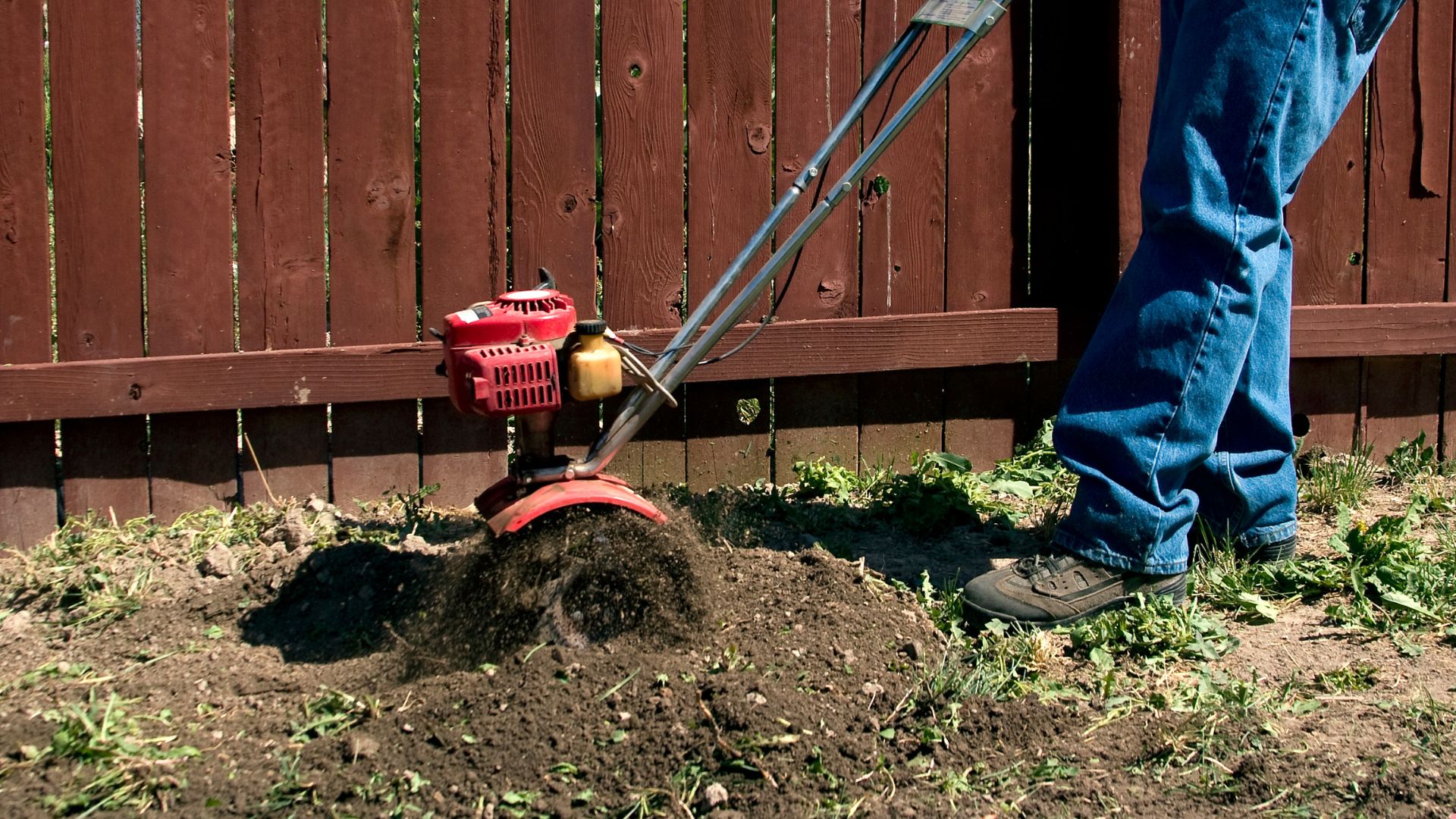 why you might want to think twice before tilling your garden